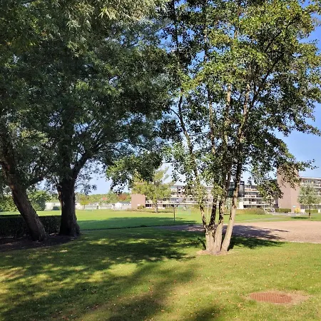 Apartment 2 Bedroom In De Haan